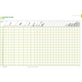 3-Diagramme de soins DSI infirmier