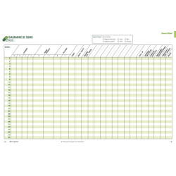 diagramme de soins BSI infirmier